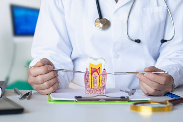 Best Emergency Treatment for Toothache in Bellaire, TX